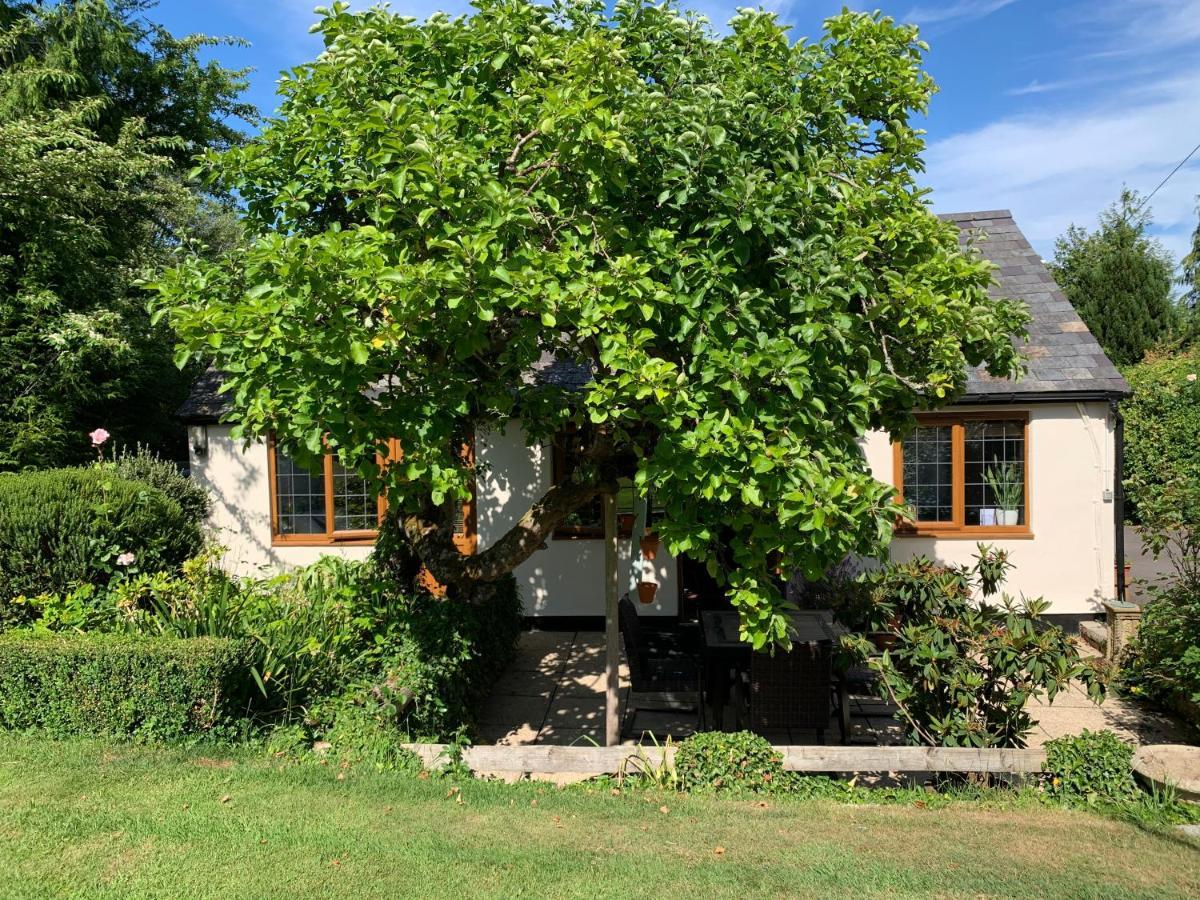 Newton Farmhouse 화이트패리시 외부 사진